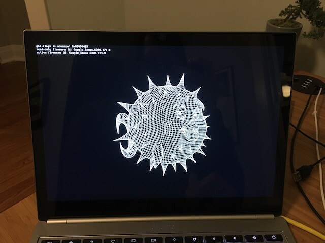 boot screen of chromebook pixel showing openbsd wireframe blowfish logo