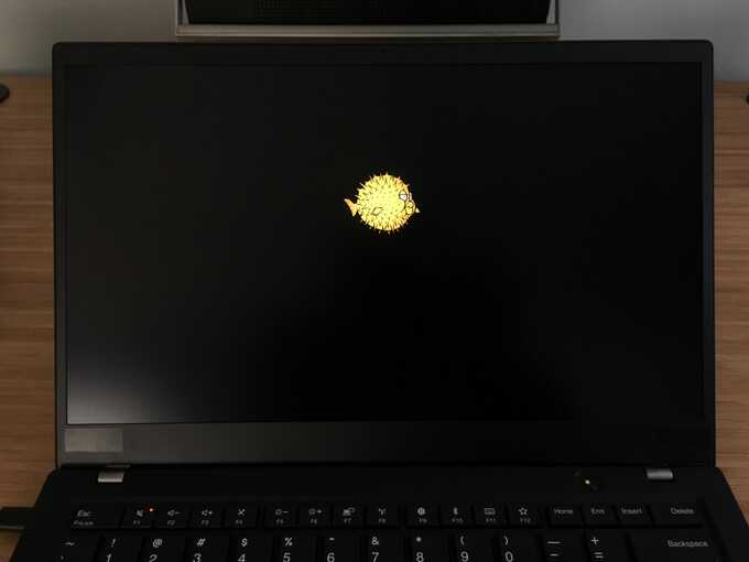 screen of thinkpad x1 carbon with centered openbsd blowfish logo